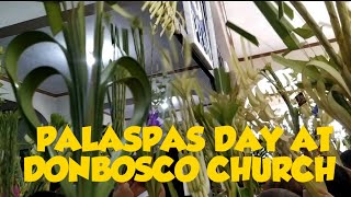 PALASPAS DAY II DOR-ANN TV