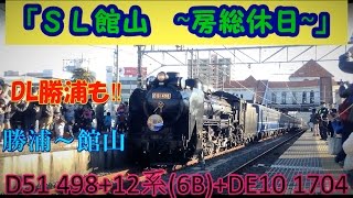 「SL館山 ~房総休日~」 勝浦～館山 D51 498+12系(6B)+DE10 1704