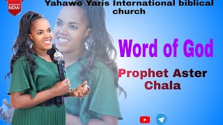 Yahawe Yaris International biblical Church Prophet Aster Chala Word Of God Friday Service