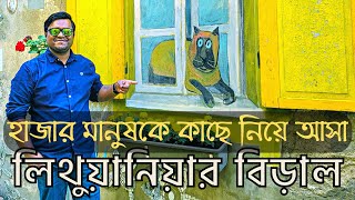 🇱🇹 হাজার মানুষকে কাছে নিয়ে আসা লিথুয়ানিয়ার বিড়াল-Amazing Street Art \u0026 Yard Gallery Kaunas, Lithuania