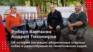 Роберт Вартанян и Андрей Тихомиров об истории миграции аборигенных отарных собак (2023)