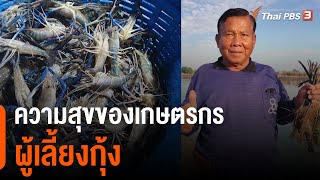 ความสุขของเกษตรกรผู้เลี้ยงกุ้ง : ดอกผลของความยั่งยืน