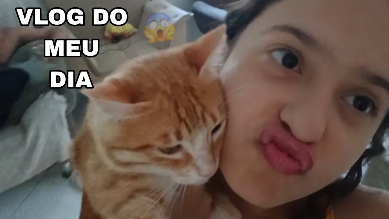 Vlog Do Meu Dia Youtube