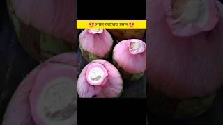 😍লাল নারকেল বা ডাবের জল ও কি লাল হয়? Pink Coconut। Bangla Facts।#shorts @MrSujay