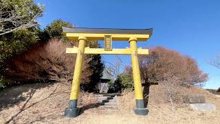 感謝王！日立きららの里⭐️星野宮神社⛩️参拝✨ #開運 #櫻庭露樹 #感謝王ジャッキー #感謝 #幸せ #ありがとう