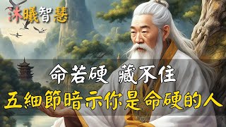 命若硬，藏不住！這五個細節暗示你是一個命硬的人！很準！ #沐曦智慧