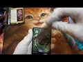 【mtg】神河 輝ける世界　セットブースター開封