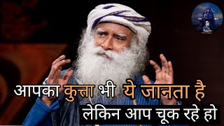 जाने सफलता का सूत्र सद्गुरु से | how to be successful? | sadhguru hindi |