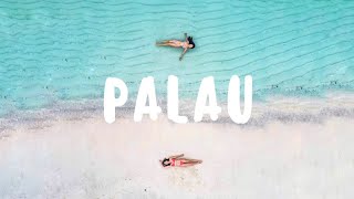 PALAU VLOG PART 1｜帛琉泡泡｜天堂之島｜船長的秘境