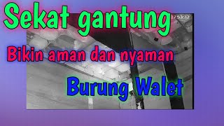 SEKAT GANTUNG - BURUNG WALET AMAN DAN NYAMAN