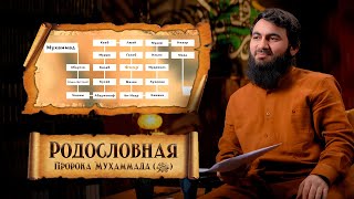 Родословная Пророка Мухаммада (ﷺ) | Юсуф Берхудар | Сира Пророка Мухаммада (ﷺ) | Часть-5