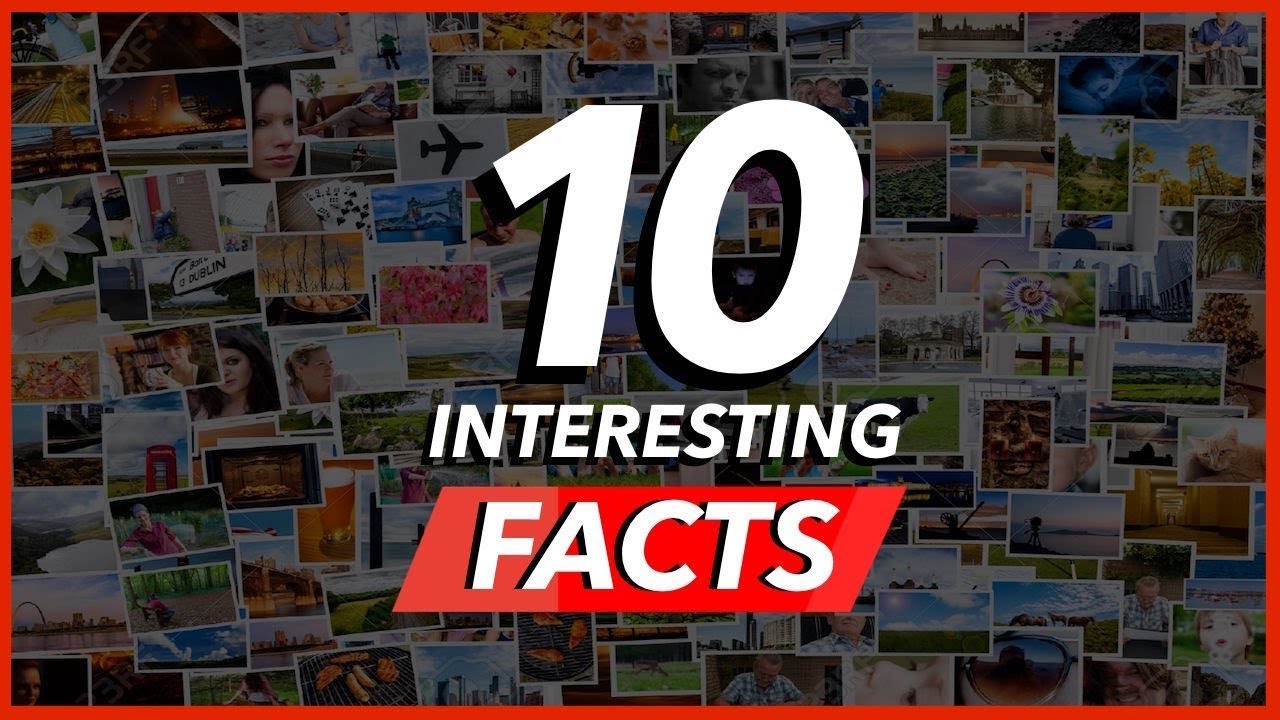 10 Interesting Things You Probably Didn't Know - YouTube