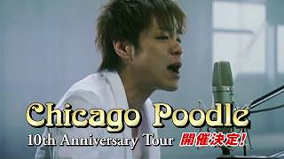 【8/18(日)～10/20(日)】Chicago Poodle「10th Anniversary Tour」開催!