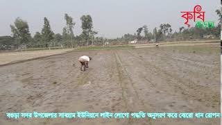 লাইন লোগো (কৃষি কড়চা # KRISHI KORCA)