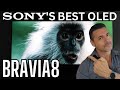 Sony's Best Oled For Most! SONY BRAVIA 8