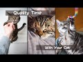 Fun Ways to Spend Quality Time with Your Cat #Shorts