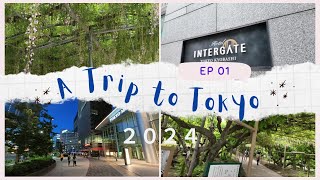 [2024 賞花東京 EP1]   Hotel Intergate 京橋│成田機場到酒店交通 │ 京王Presso Inn八重洲口 │ 足利花卉公園