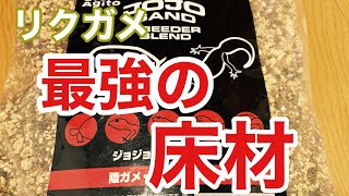 自分史上、最高の床材を紹介します。ついでに寝ぼけたリクガメも。