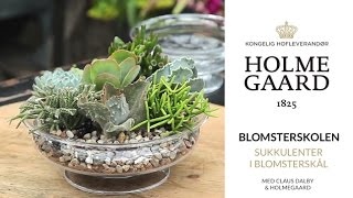 Holmegaard Blomsterskolen 8 - Sukkulenter i blomsterskål med Claus Dalby \u0026 Holmegaard