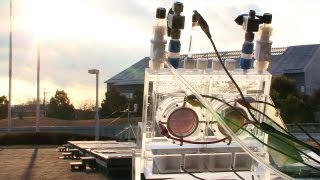 Artificial Photosynthesis System as efficient as plants and can reduce CO2 levels #DigInfo