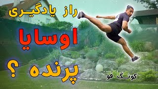 آموزش تیو دیت چاگی یا اوسایا پرنده (کونگ فوتوآ و تکواندو 2024)