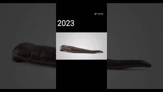 2023 Leech and 5000bce Leech||mythical biology||#shortvideo