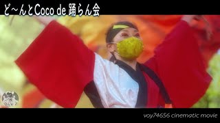 【シネスコ】ど～んとCoco de 踊らん会／秦野元気まつり2022 ~春の陣~コンテスト