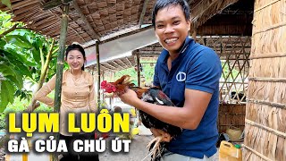 🔴 Cảm Ơn Chú Út Đã Tặng Con Gà Chiến | Cẩm Hằng