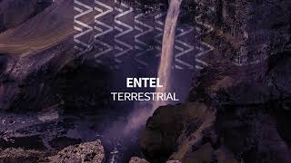 Premiere: Entel - Terrestrial