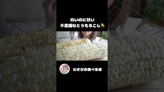 白いのに甘い不思議なとうもろこし知ってる？🌽✨ #焼きとうもろこし #ラムネ #咀嚼音 #corn #grilledcorn #whitecorn #asmr #shorts