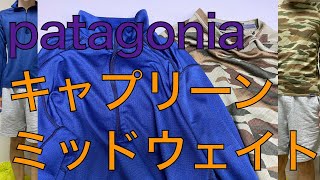 【patagoniaが大好きなんだよ】意外と長く使えるキャプリーンミッドウェイト