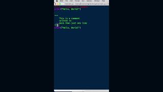 How to write Comments in python | Python Assignment Help