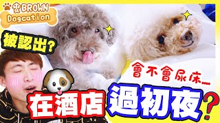 🐶第一次和狗狗在酒店「過初夜🌝」！晚上發生什麼事？會尿床嗎…🤭被酒店職員認出結果？(中文字幕)麥BROWN Dogcation#5