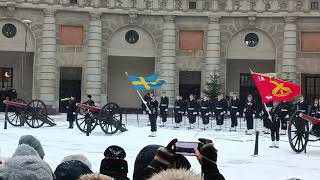 Морозная смена королевского караула. Frosty changing of the royal guard