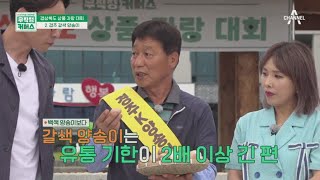 우리나라 최초! 양송이 버섯을 수출하다! | 산지직송 프로젝트 무작정 커머스 6 회