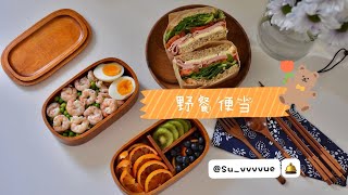 留德🇩🇪治愈系vlog低脂高蛋白野餐便当 |奶酪三明治 |德国小瑞士短暂游（被青蛙吓跑）|留学生日常