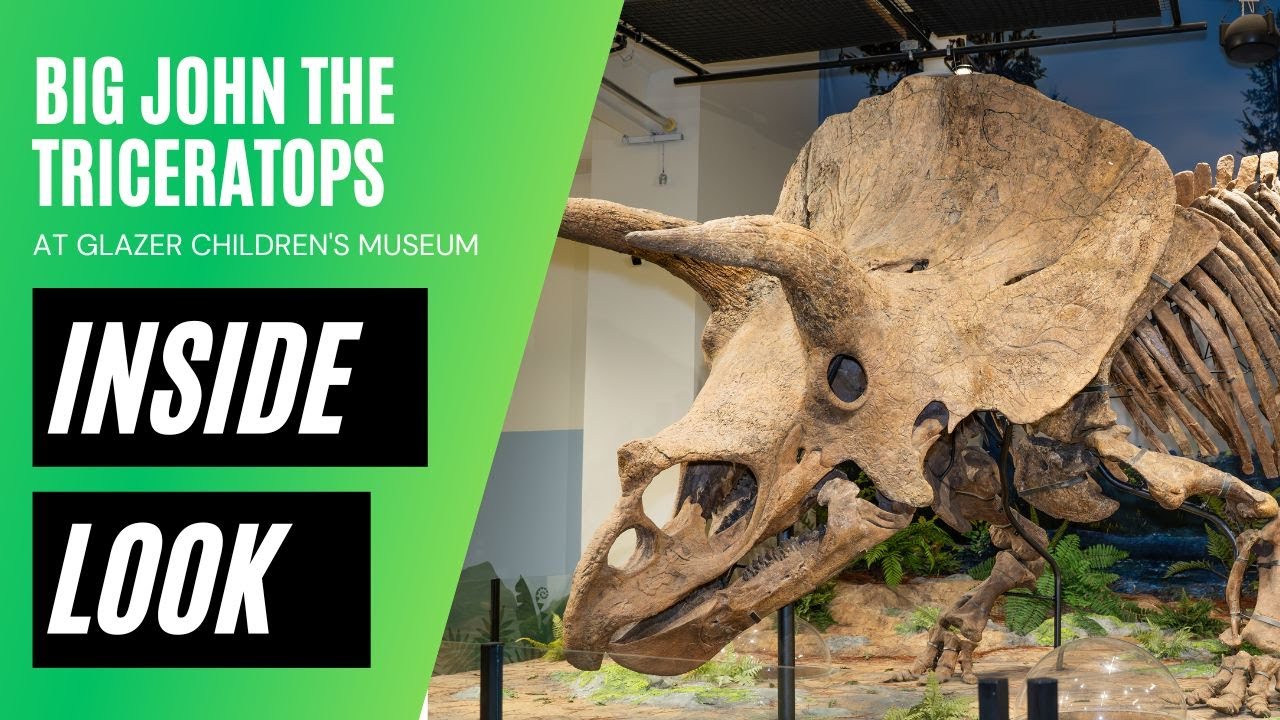 INSIDE LOOK: Big John The Triceratops At Glazer Children's Museum - YouTube