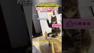 男子给猫买了逗猫棒，结果小猫反客为主用它逗男子#萌宠 #funny  #可爱