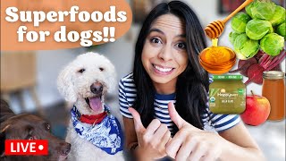 5 SUPERFOODS for Dogs! 🐶 Healthy kibble toppers!
