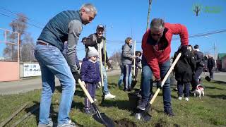 Підсумки акції «1 млн дерев за 1 добу у 100 краінах світу» у Вінницькій області