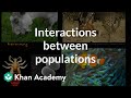 Interactions between populations | Ecology and natural systems | High school biology | Khan Academy