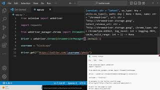 Python 3 Selenium Automation Script to Download Twitter User Profile Picture Using Username