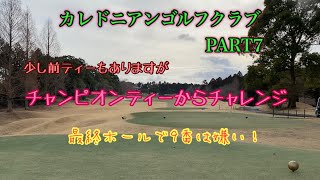 【ラウンド動画】カレドニアンゴルフクラブ　バックティーからの挑戦～やっぱり距離って手強いです～