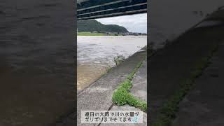 【揖保川】ヤバっ！大雨続きで溢れ…⁉️