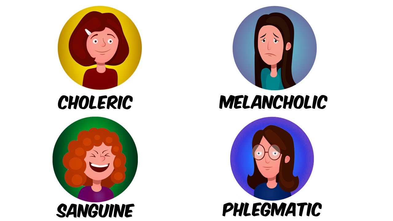 4 Types Of Temperaments Explained 3 Minutes Youtube