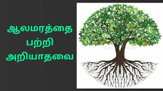 ஆலமரம்/ Banyan Tree/ அருமையும் பெருமையும்/Save trees🌳