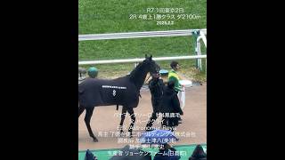 ハーツクライ産駒 バナマンテソーロ 1勝クラス 横山武史騎手 今年8勝目 R7 1回東京2日 2レース