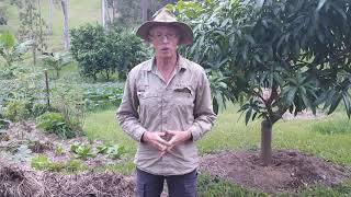 Biodynamic composting - afternoon workshop