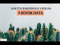 KAKTÜS BAKIMINDA YAPILAN 5 BÜYÜK HATA! | Mutlaka İzle!