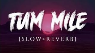Tum Mile [Slowed+Reverb] - Neeraj Shridhar | Textaudio Lyrics
